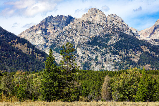 Mountain Range and evergreen tree forest in Grand Tetons National Park Wyoming.