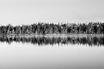 A black and white image of the edge of a river with trees reflecting in the calm smooth water. There's a mist rising off the water close to the shore. There's snow on the trees and ground. 