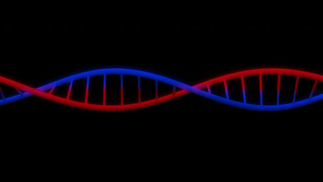 DNA Double Helix. Structure of DNA.