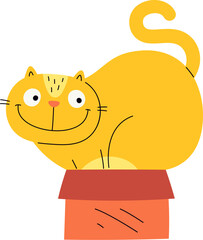 Cat In Box
