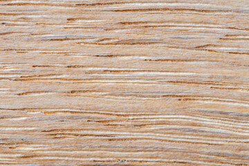 Wood texture, processed wooden surface. Detailed light seamless texture of wood material