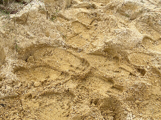 close up texture of the sand