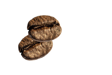 selective focus of raosted grains brazilian coffee on transparent background in Brazil