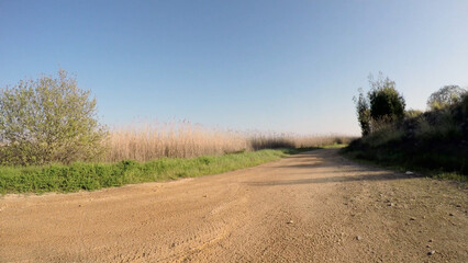 Point of view shot of riding a bicycle