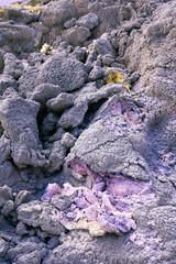 Purple rocks, Galapagos Volcano