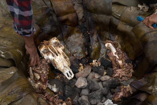 barbecue traditional mexican food in underground oven using stones and maguey