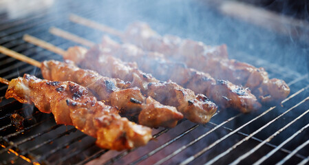 Grilled chicken skewers, seasoned chicken