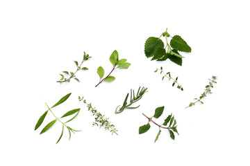 Fresh herbs on white background.