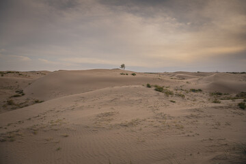 Sunset over the sand dunes in the Gobi Desert in Inner Mongolia, China