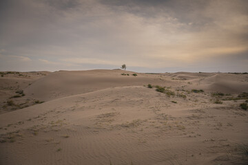 Fototapeta na wymiar Sunset over the sand dunes in the Gobi Desert in Inner Mongolia, China