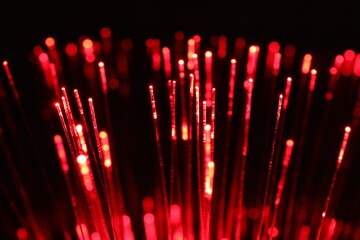 Optical fiber strands transmitting red light on black background, closeup