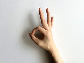 ジェスチャー　OK