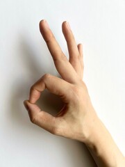 ジェスチャー　OK