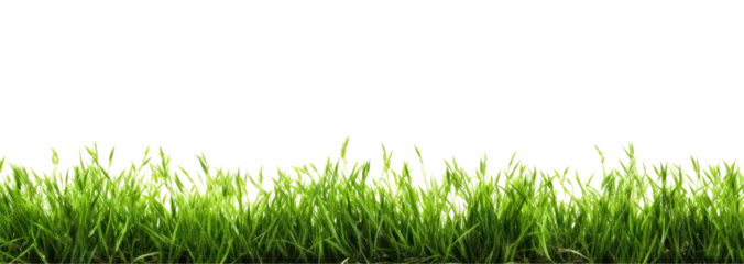 Papier Peint photo Lavable Herbe Green grass border, on a transparent background. The horizon of the green lawn. Greenfield frame, background, PNG file