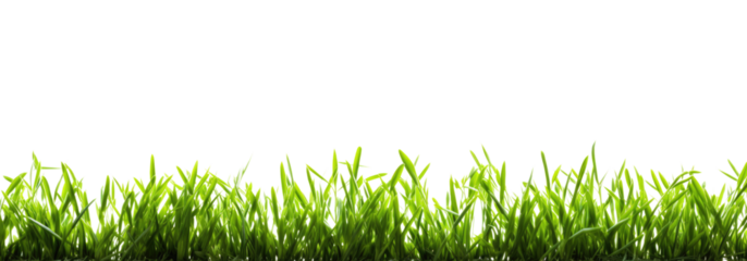 Green grass border, on a transparent background. The horizon of the green lawn. Greenfield frame, background, PNG file