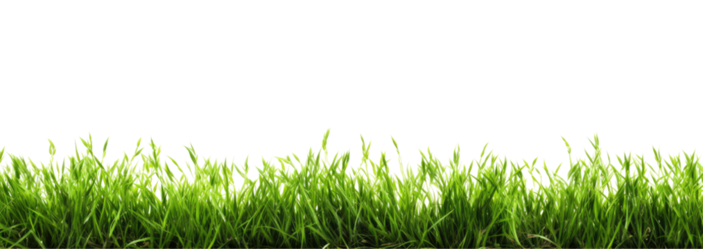 Green grass border, on a transparent background. The horizon of the green lawn. Greenfield frame, background, PNG file