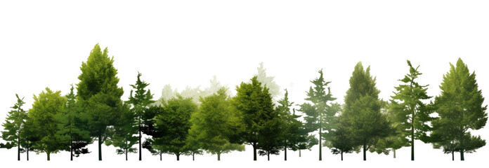 Green Trees on a transparent background. are Forest and foliage, PNG file