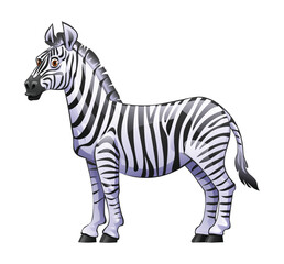 Fototapeta na wymiar Zebra cartoon vector illustration isolated on white background
