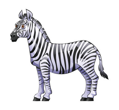 Zebra cartoon vector illustration isolated on white background