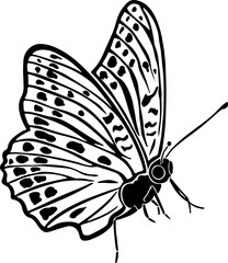 butterfly silhouette illustration