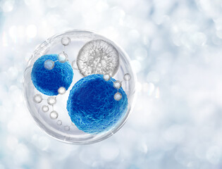 growth factor stem cell and molecule