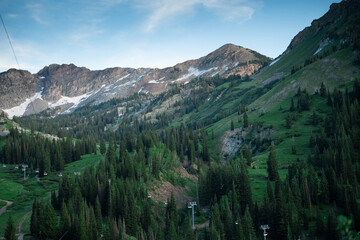 Albion Basin in Utah