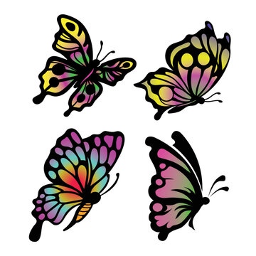 Collection of butterfly vector illustration. Set of butterfly files for cricut, sticker, or ornament.