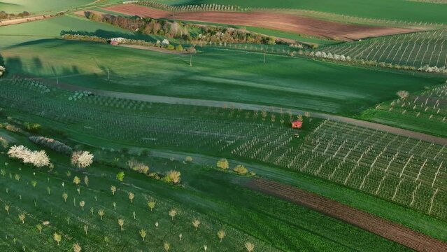Aerial view of amazing green wavy hills with agricultural fields and garens in spring. South Moravia region, Czech Republic, Europe, 4k