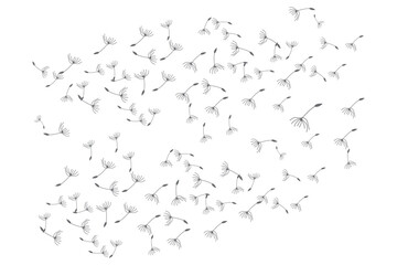 Dandelion Logo, Vector Plant Dandelion flower, Design Icon Template