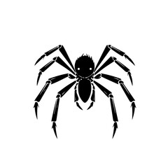 Spider Vector