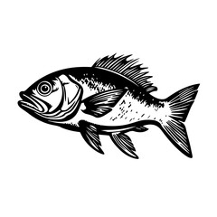 Fish Vector