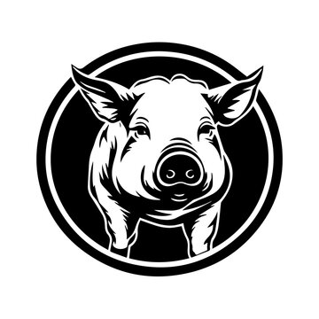 recommend clip art: Pig Vector