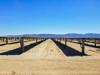 Renewable Energy Fields