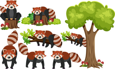 Obraz na płótnie Canvas Red Panda on Branch with Tree Elements