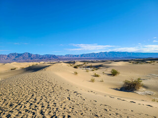 Desert Landscapes Death Valley