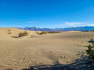 Desert Landscapes Death Valley