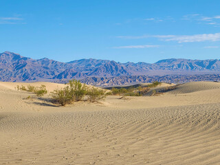 Desert Landscapes Death Valley