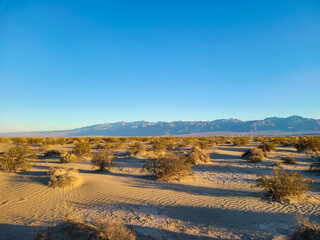 Desert Landscapes Death Valley