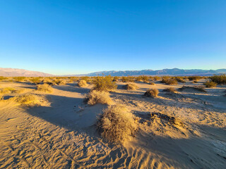 Desert Landscapes Death Valley