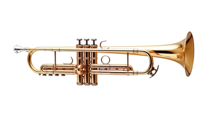 Fotobehang Isolated polished brass trumpet © twilight mist