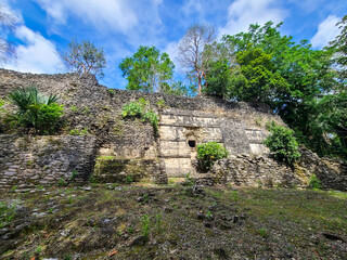 Maya Ruins in the Jungle