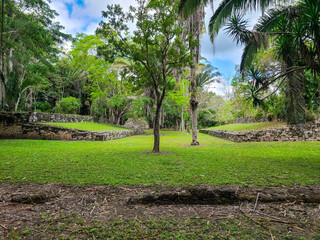 Maya Ruins in the Jungle