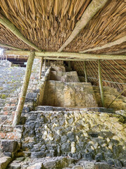 Maya Ruins in the Jungle