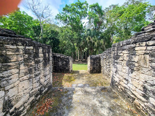 Maya Ruins in the Jungle