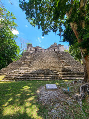 Maya Ruins in the Jungle