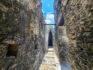 Maya Ruins in the Jungle