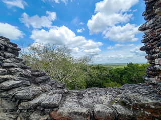 Maya Ruins in the Jungle