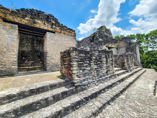 Maya Ruins in the Jungle