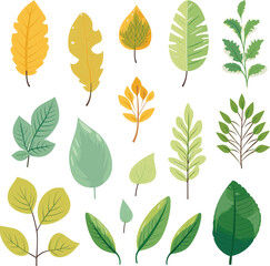 Leaf design elements on white background