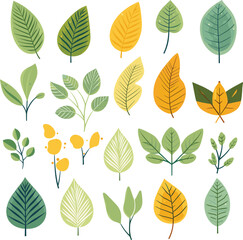 Leaf design elements on white background